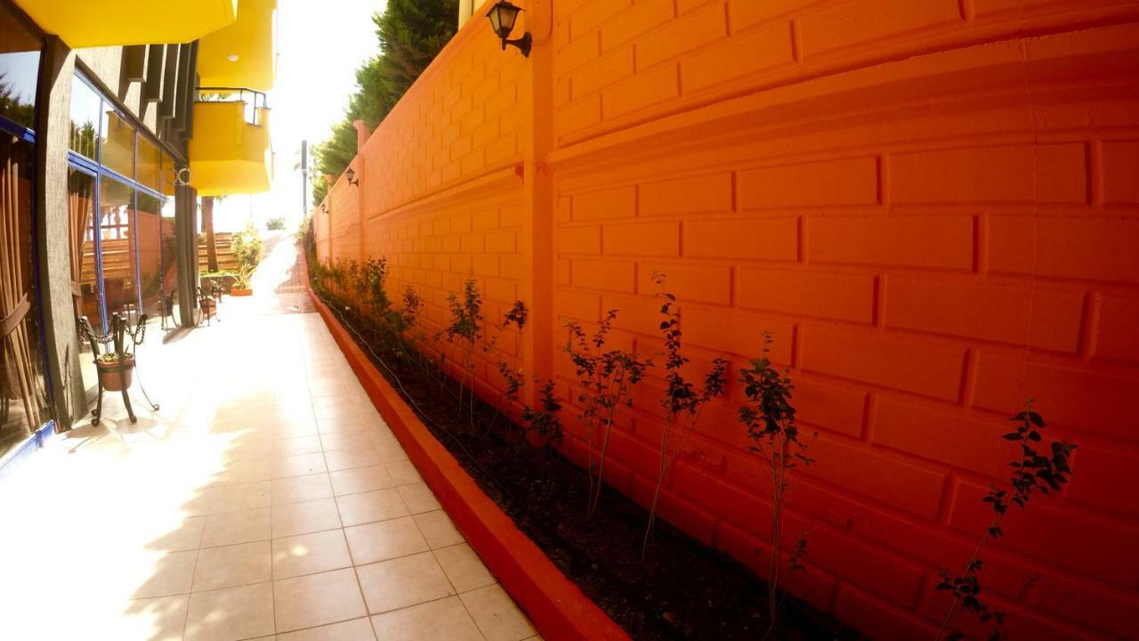 Flamingo Beach & Suite Mahmutlar Esterno foto