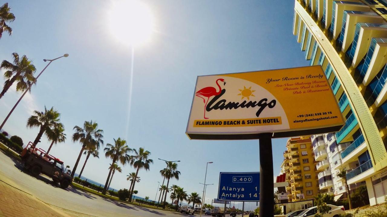 Flamingo Beach & Suite Mahmutlar Esterno foto